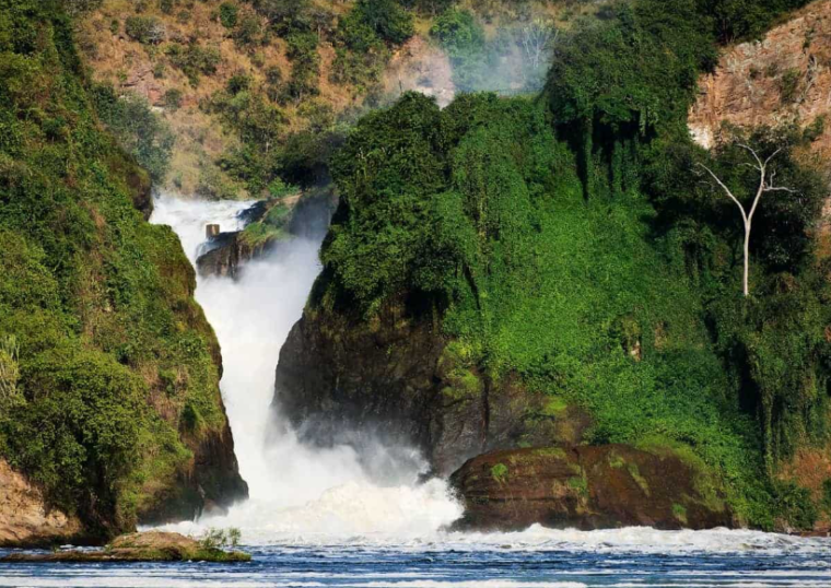 The Murchison Falls Overall Best time
